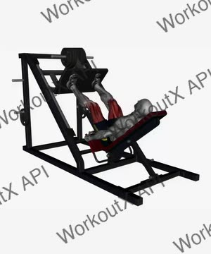 Leg Press Machine Normal Stance exercise demonstration