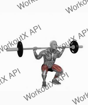 Barbell Squat With 2 Sec Hold exercise demonstration