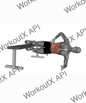 Copenhagen Plank exercise demonstration