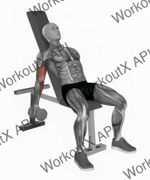 Dumbbell Incline Alternate Curl exercise demonstration