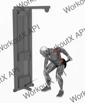 Cable Bent Over One Arm Lateral Raise exercise demonstration
