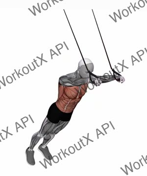 Suspension Trainer With Grips Abdominal Fallout exercise demonstration