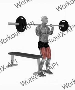 Barbell Front Chest Bench Squat exercise demonstration