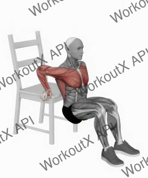 Dip on Floor With Chair exercise demonstration