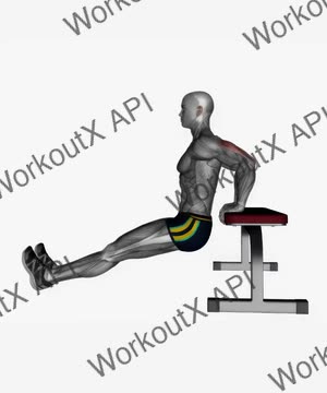 Bench Triceps Dip Straight Legs exercise demonstration