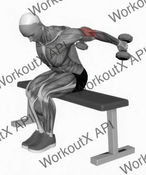 Dumbbell Seated Kickback exercise demonstration