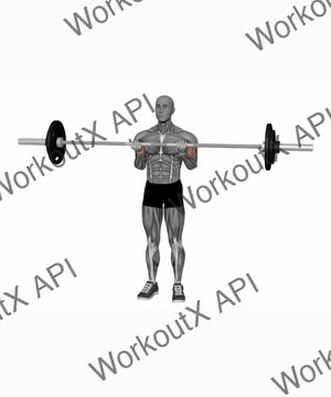 Barbell Biceps Curl Close Grip exercise demonstration