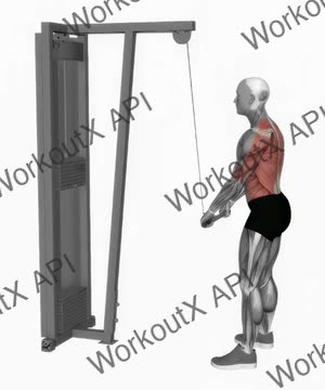 Cable Straight Arm Pulldown exercise demonstration