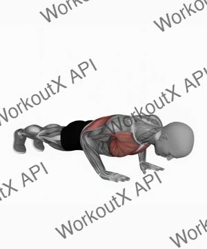 Close Grip Push Up exercise demonstration
