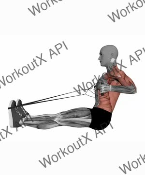 Seated Resistance Band - Cable Rows exercise demonstration