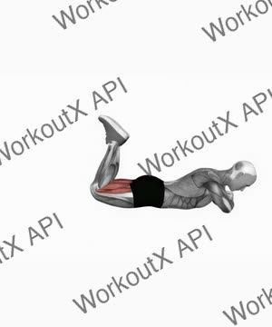 Bodyweight Lying Leg Curl exercise demonstration