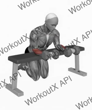 Dumbbell Over Bench Wrist Curl exercise demonstration