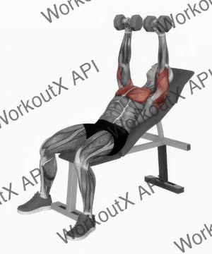 Dumbbell Incline Bench Press exercise demonstration