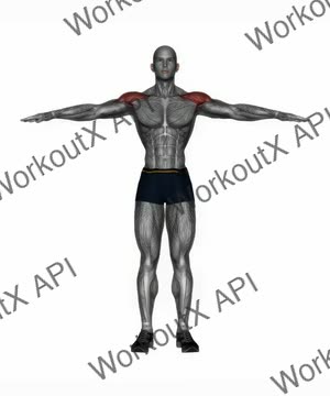 Shoulder Abduction exercise demonstration
