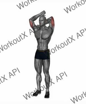 Overhead Triceps Stretch Side Angle exercise demonstration