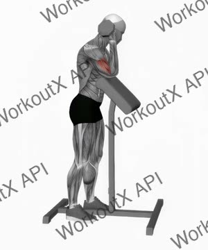 Dumbbell Standing Preacher Curl exercise demonstration