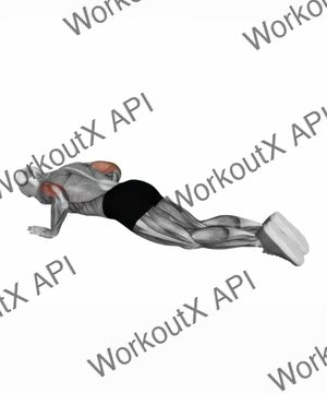 Kneeling Push-Up exercise demonstration