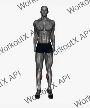 Standing Calf Raise Resistance Band exercise demonstration