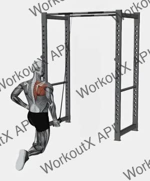 Resistance Band Kneeling Cross Body Single Straight Arm Supinated Pulldown exercise demonstration