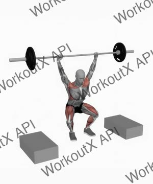 Barbell Snatch From Blocks exercise demonstration