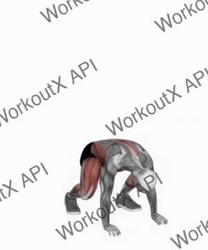 Burpee Squat exercise demonstration
