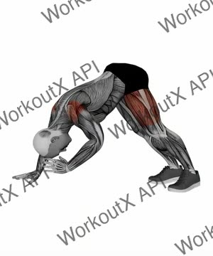 Pike Shoulder Taps exercise demonstration