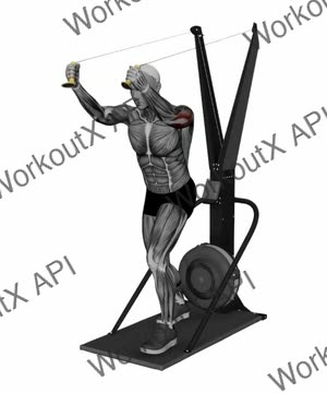 Ski Ergometer Cross Country Ski Reverse Triceps Extension Pull exercise demonstration