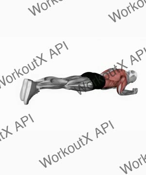 Body Saw Plank exercise demonstration