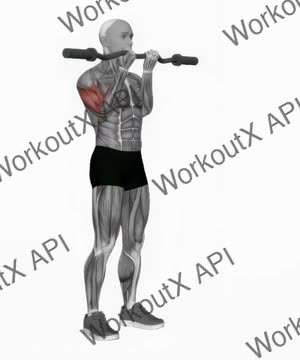 Ez Barbell Close Grip Curl exercise demonstration