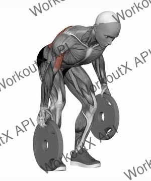 Plate Alternating Deadstop Row exercise demonstration