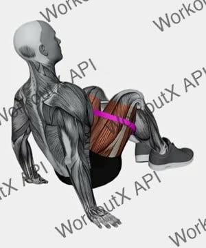 Resistance Band Seated Bent Knee Abduction exercise demonstration