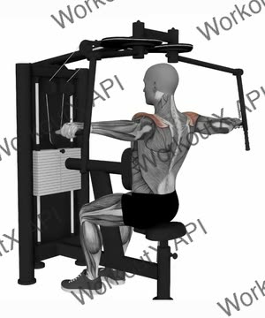 Reverse Machine Fly (Variation 2) exercise demonstration