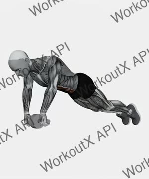 Ab Wheel Plank exercise demonstration