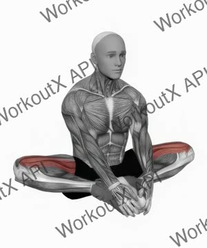 Butterfly Yoga Flaps exercise demonstration