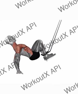 Suspension Trainer With Grips Supine Crunch exercise demonstration