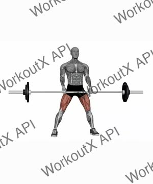 Barbell Sumo Deadlift exercise demonstration
