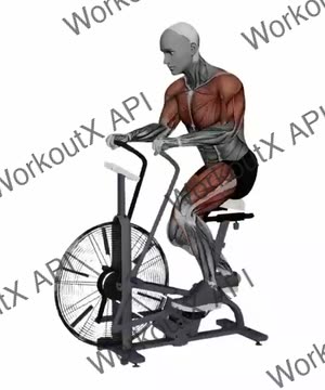 Assault Airbike Sprint Speed exercise demonstration