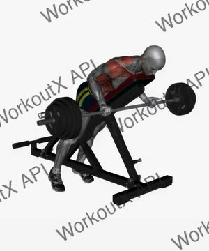 Prone Bench Row Barbell Reverse Grip exercise demonstration