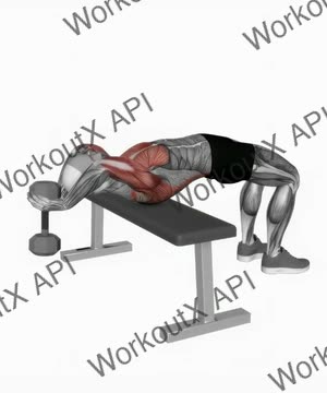Dumbbell Bent Arm Pullover exercise demonstration