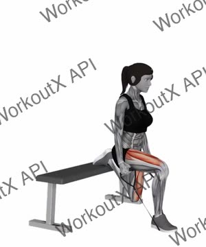 Band Single Leg Split Squat exercise demonstration