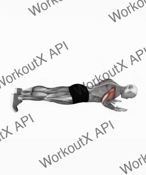Body-Up exercise demonstration