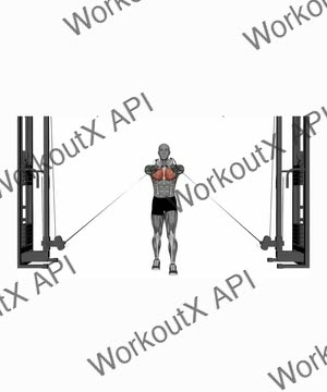 Cable Machine Low to High exercise demonstration
