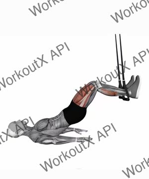 Suspension Trainer With Grips Hip Bridge exercise demonstration