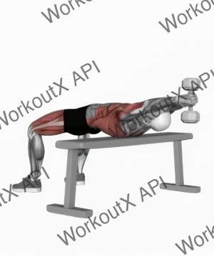 Dumbbell Pullover exercise demonstration