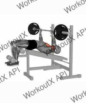 Barbell Bench Press Decline exercise demonstration