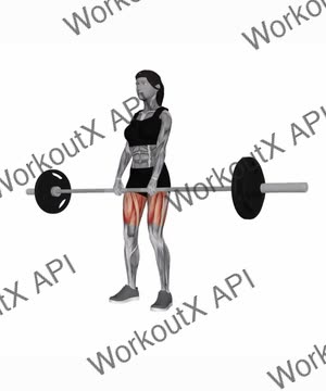 Barbell Deadlift exercise demonstration