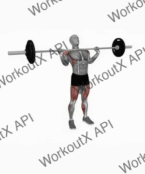 Barbell Power Clean exercise demonstration