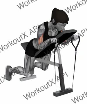 Band Reverse Spider Curl exercise demonstration