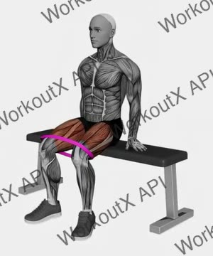 Resistance Band Seated Hip Abduction exercise demonstration