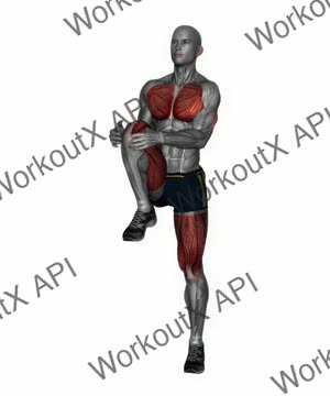 Knee to Chest Stretch exercise demonstration